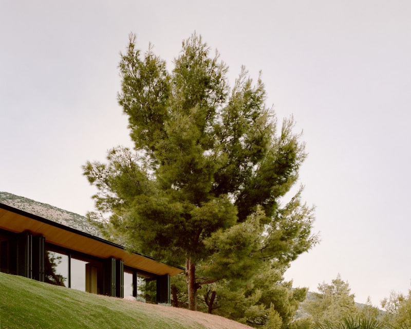 Dettaglio Villa fra gli Alberi